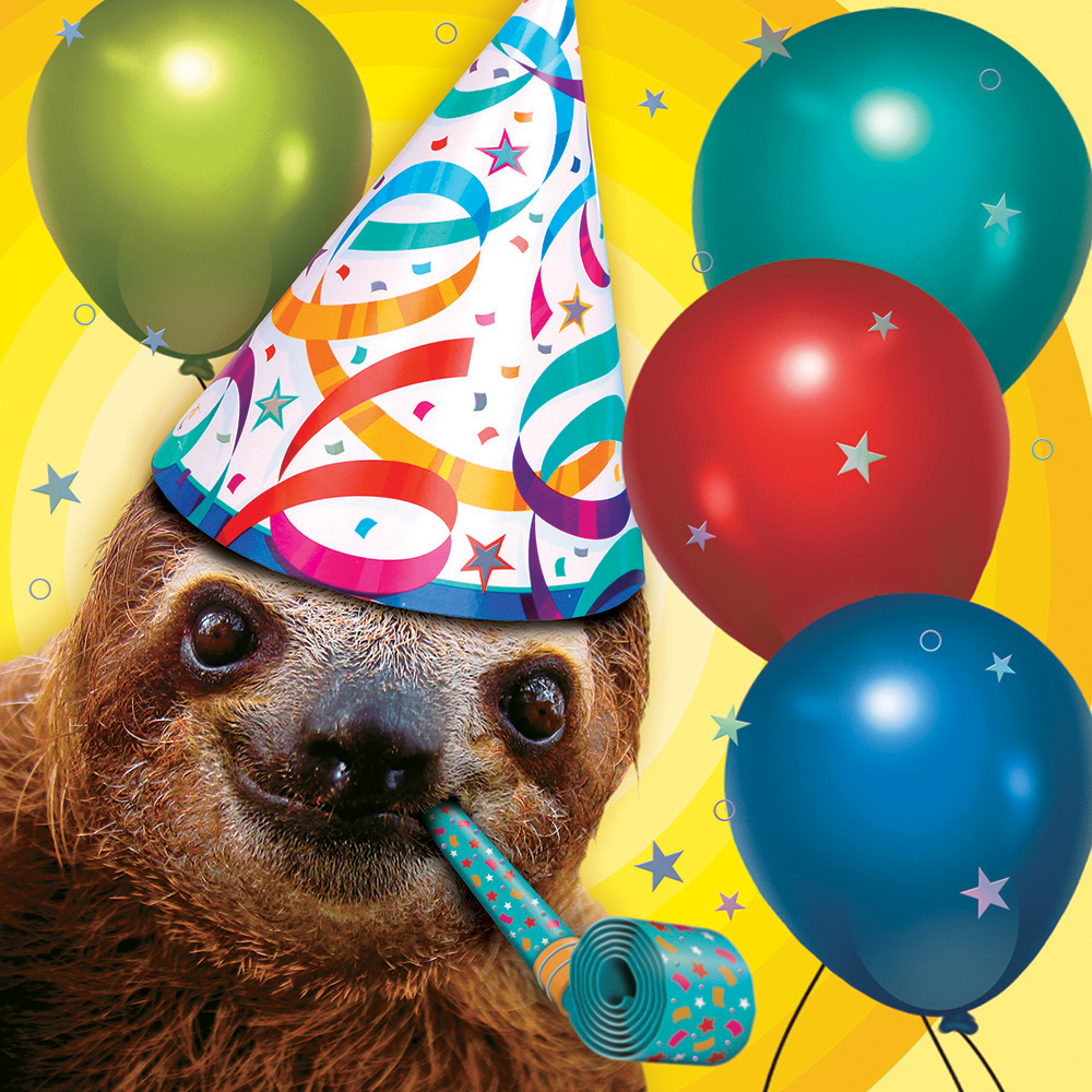 Image 3D Greeting Card - Sloth with Party Blowout