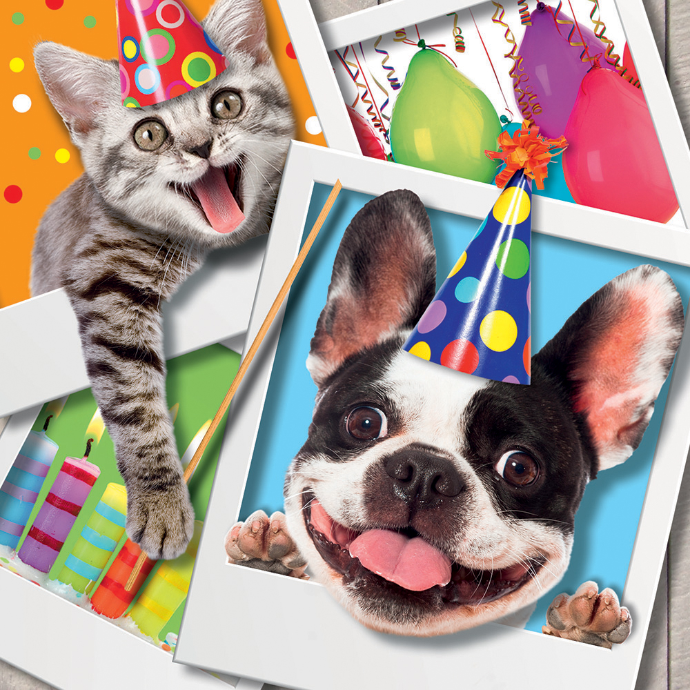 Image 3D Greeting Card - Cat and Dog
