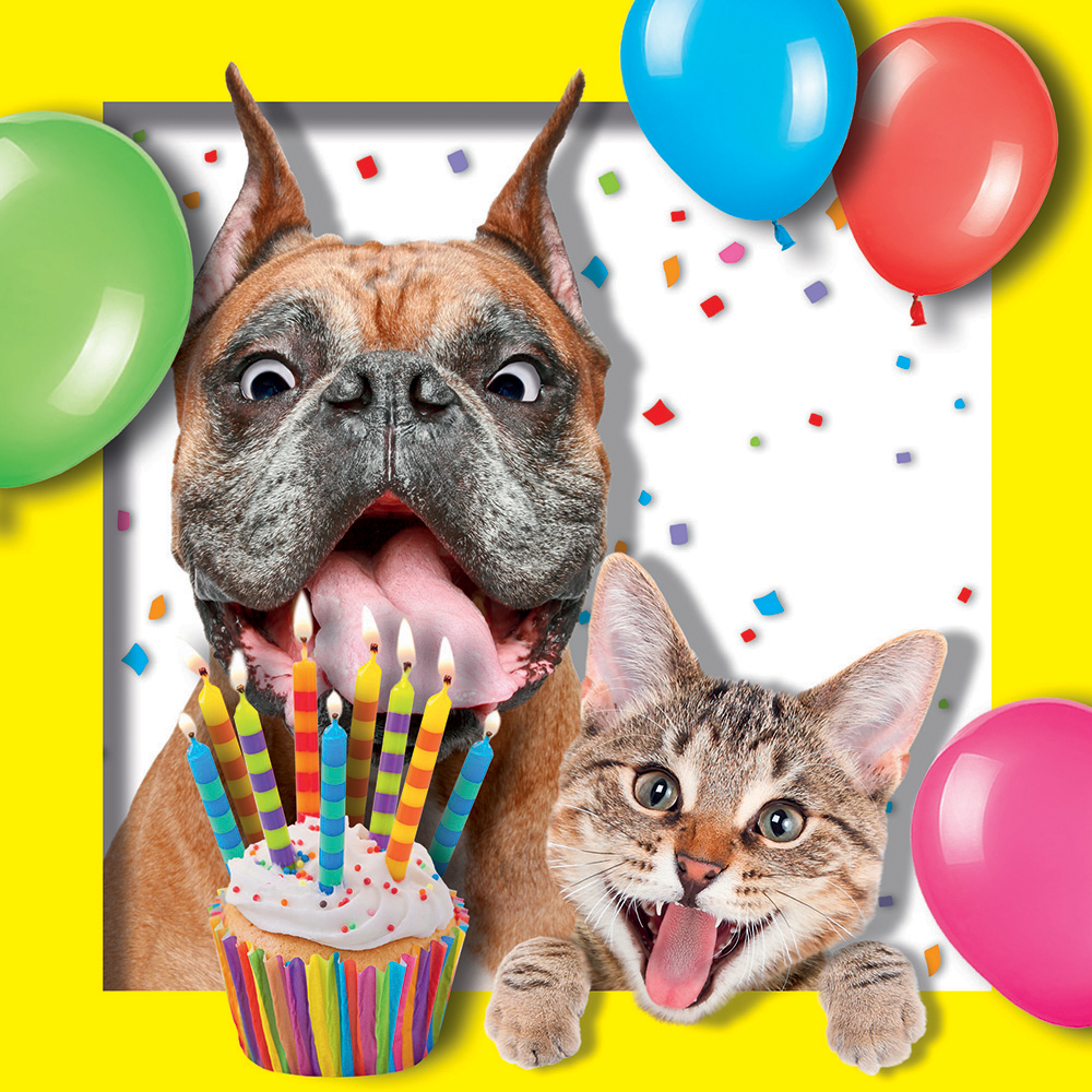 Image 3D Greeting Card - Cat and Dog with Cupcake