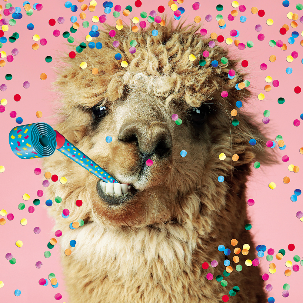 Image 3D Greeting Card - Lama with Party Blowout