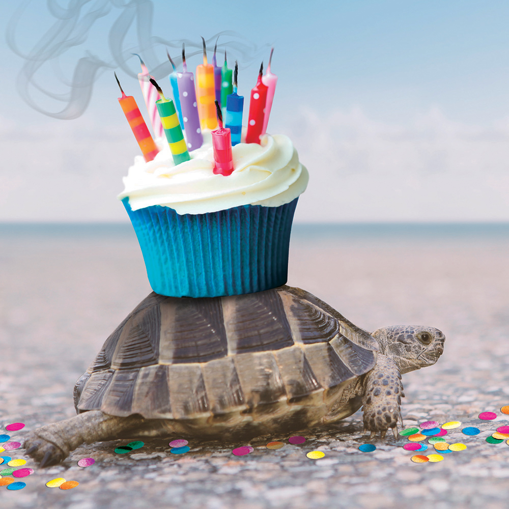 Image Carte de souhaits 3D - Tortue avec petit gâteau