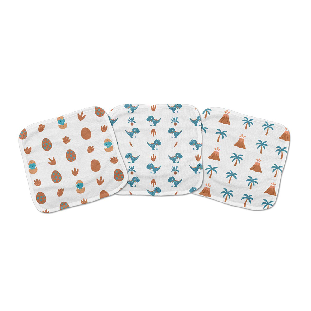 Image Baby Washcloths (23x23cm) - Dino Series - pack of 6