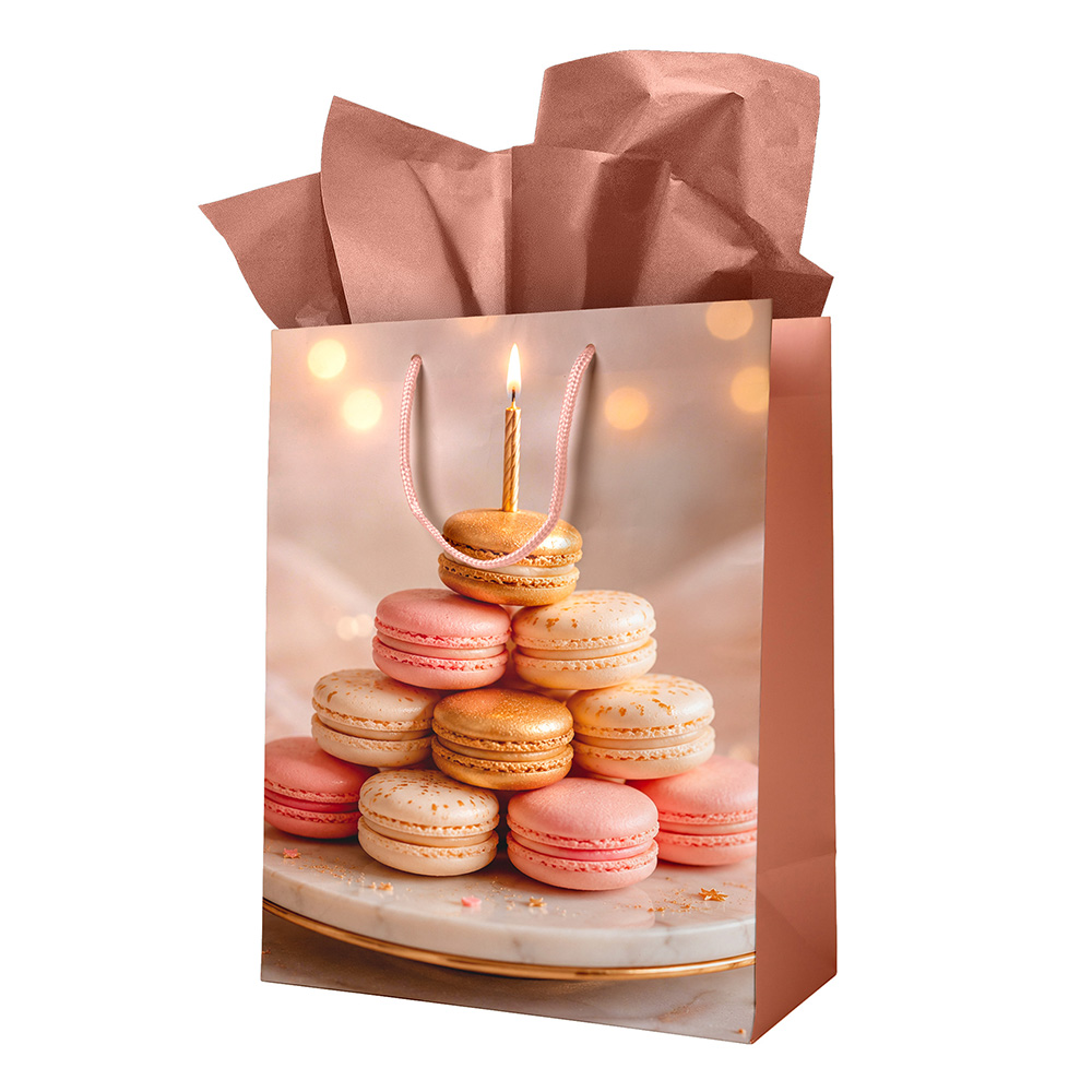 Image Sac cadeau pour adulte – Petit – Macarons